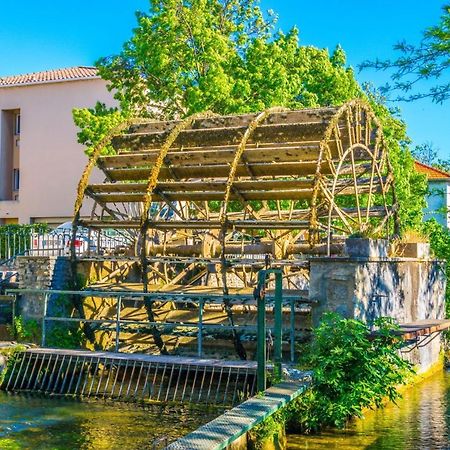 Le Petit Studio - 15 M2 - Centre Ville - Sorgue A 50 M 索格岛 外观 照片