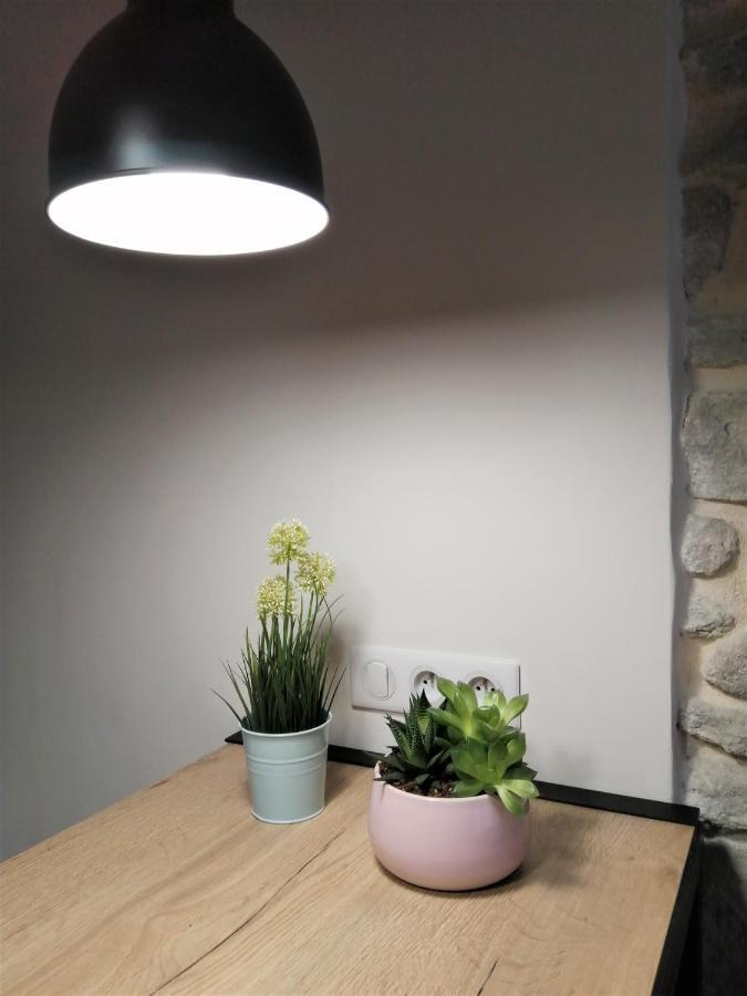 Le Petit Studio - 15 M2 - Centre Ville - Sorgue A 50 M 索格岛 外观 照片