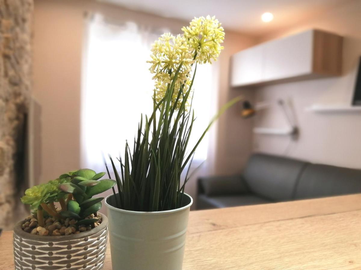 Le Petit Studio - 15 M2 - Centre Ville - Sorgue A 50 M 索格岛 外观 照片