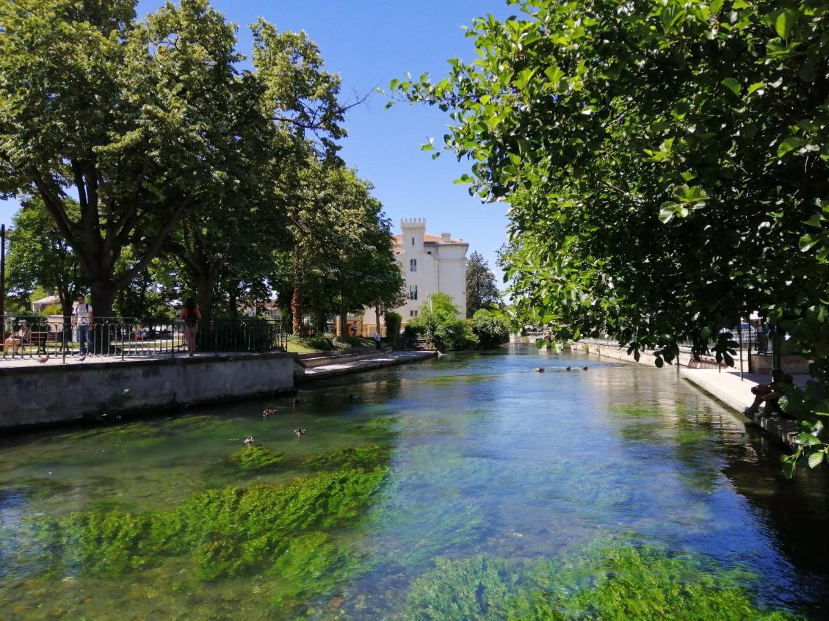 Le Petit Studio - 15 M2 - Centre Ville - Sorgue A 50 M 索格岛 外观 照片