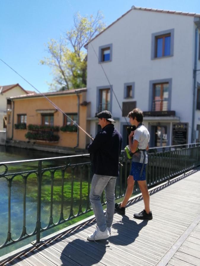 Le Petit Studio - 15 M2 - Centre Ville - Sorgue A 50 M 索格岛 外观 照片